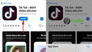 Hướng dẫn cách tải Tik Tok cho điện thoại iPhone và Android