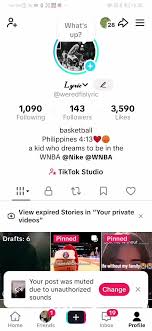 TikTok fonts on mobile devices