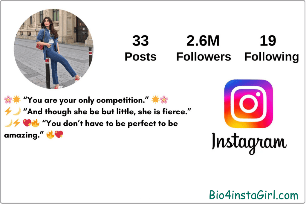 Fancy fonts for Instagram bio examples
